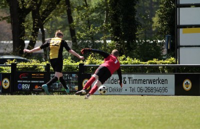 IMG_3878 (Large).JPG